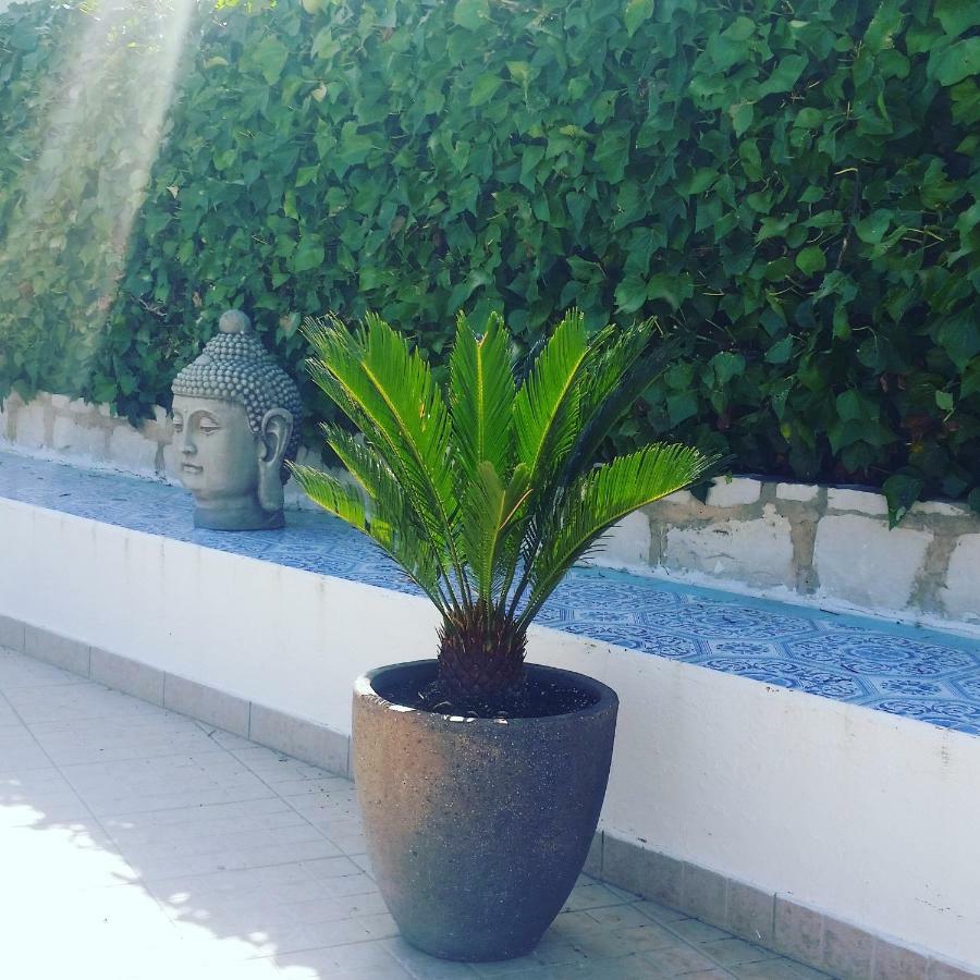 Cegonha Villa Powered By Cegonha Resort- Private Swimming Pool & Air Con Albufeira Buitenkant foto